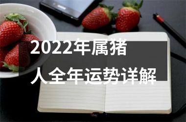 2025年属猪人全年运势详解