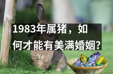 1983年属猪，如何才能有美满婚姻？