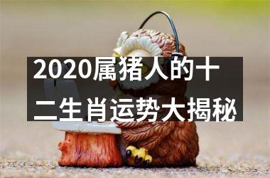 2025属猪人的十二生肖运势大揭秘