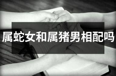 属蛇女和属猪男相配吗