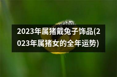 2025年属猪戴兔子饰品(2025年属猪女的全年运势)