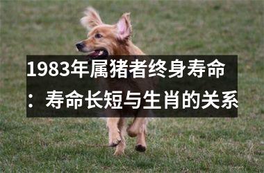 1983年属猪者终身寿命：寿命长短与生肖的关系