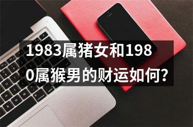 1983属猪女和1980属猴男的财运如何？