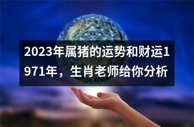 2025年属猪的运势和财运1971年，生肖老师给你分析