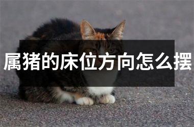 属猪的床位方向怎么摆