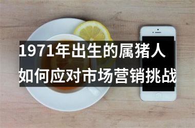 1971年出生的属猪人如何应对市场营销挑战