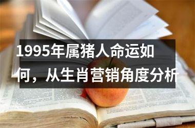 <h3>1995年属猪人命运如何，从生肖营销角度分析