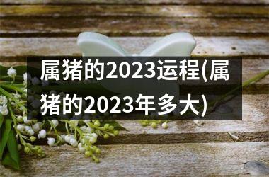 属猪的2025运程(属猪的2025年多大)