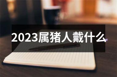 2025属猪人戴什么