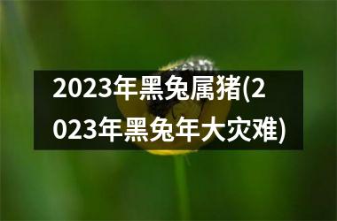 <h3>2025年黑兔属猪(2025年黑兔年大灾难)