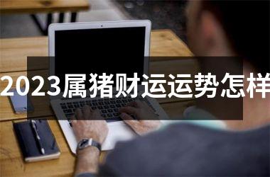 2025属猪财运运势怎样