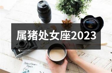 属猪处女座2025