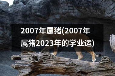 2007年属猪(2007年属猪2025年的学业运)