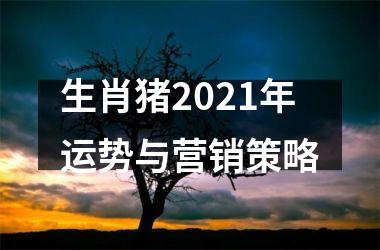 生肖猪2025年运势与营销策略