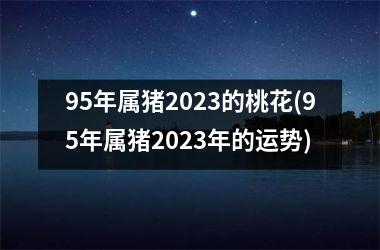 95年属猪2025的桃花(95年属猪2025年的运势)