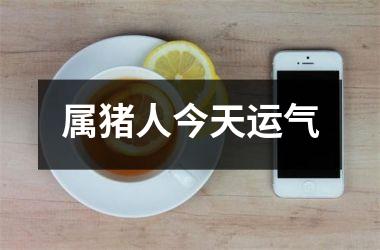 属猪人今天运气