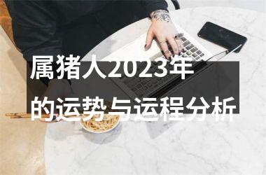 属猪人2025年的运势与运程分析