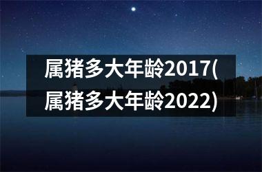 属猪多大年龄2017(属猪多大年龄2025)