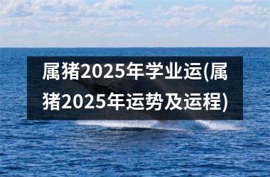 属猪2025年学业运(属猪2025年运势及运程)