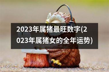 2025年属猪旺数字(2025年属猪女的全年运势)