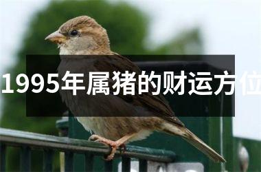 1995年属猪的财运方位