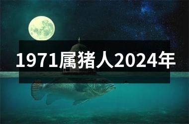 <h3>1971属猪人2024年