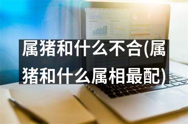 属猪和什么不合(属猪和什么属相配)