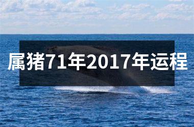 属猪71年2017年运程