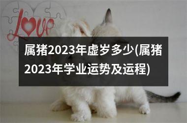 属猪2025年虚岁多少(属猪2025年学业运势及运程)