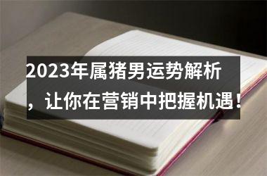 2025年属猪男运势解析，让你在营销中把握机遇！