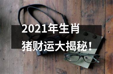 2025年生肖猪财运大揭秘！