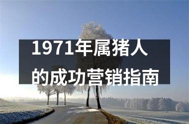 1971年属猪人的成功营销指南