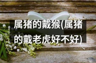 属猪的戴猴(属猪的戴老虎好不好)