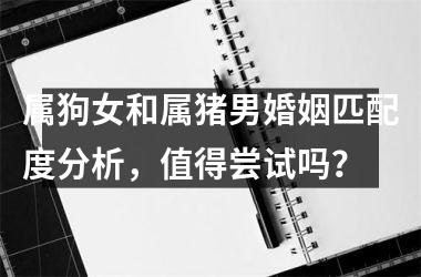 属狗女和属猪男婚姻匹配度分析，值得尝试吗？