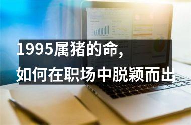 1995属猪的命, 如何在职场中脱颖而出