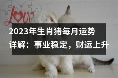 2025年生肖猪每月运势详解：事业稳定，财运上升