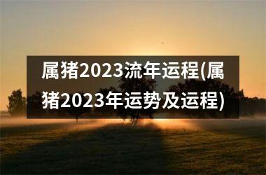 属猪2025流年运程(属猪2025年运势及运程)