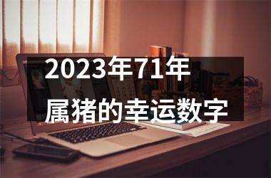 <h3>2025年71年属猪的幸运数字