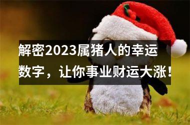 解密2025属猪人的幸运数字，让你事业财运大涨！