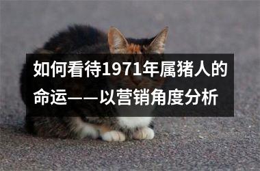 如何看待1971年属猪人的命运——以营销角度分析