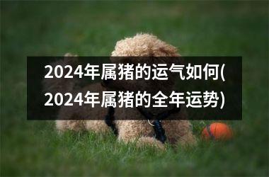 2024年属猪的运气如何(2024年属猪的全年运势)