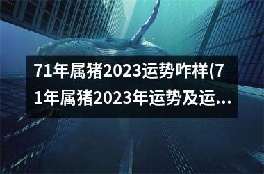 71年属猪2025运势咋样(71年属猪2025年运势及运程每月运程)