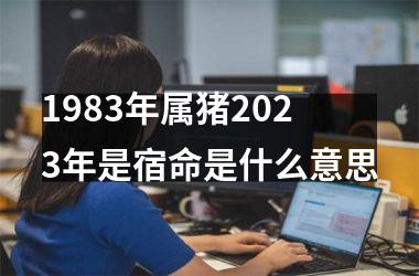 1983年属猪2025年是宿命是什么意思