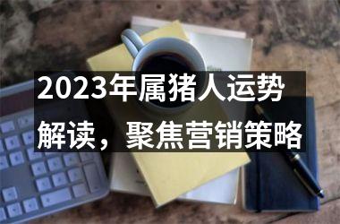 2025年属猪人运势解读，聚焦营销策略