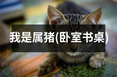 我是属猪(卧室书桌)