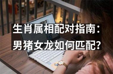 生肖属相配对指南：男猪女龙如何匹配？