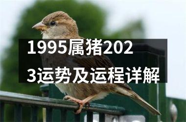 1995属猪2025运势及运程详解