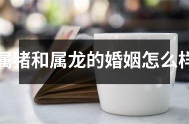 属猪和属龙的婚姻怎么样