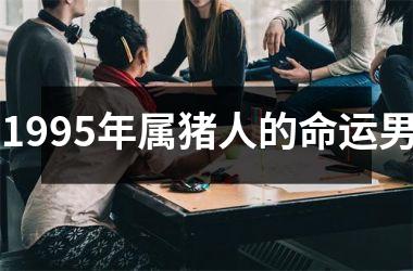 1995年属猪人的命运男