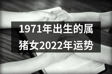 1971年出生的属猪女2025年运势